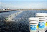 Báo giá hoá chất xử lý nước – hóa chất khử trùng sát khuẩn nước tốt nhất
