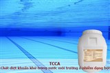 TCCA - Chất diệt khuẩn, khử trùng nước, môi trường dạng bột nồng độ 90%